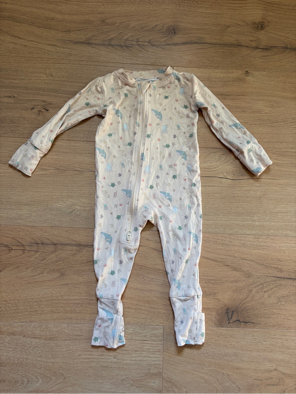 Wildbird brand convertible sleeper